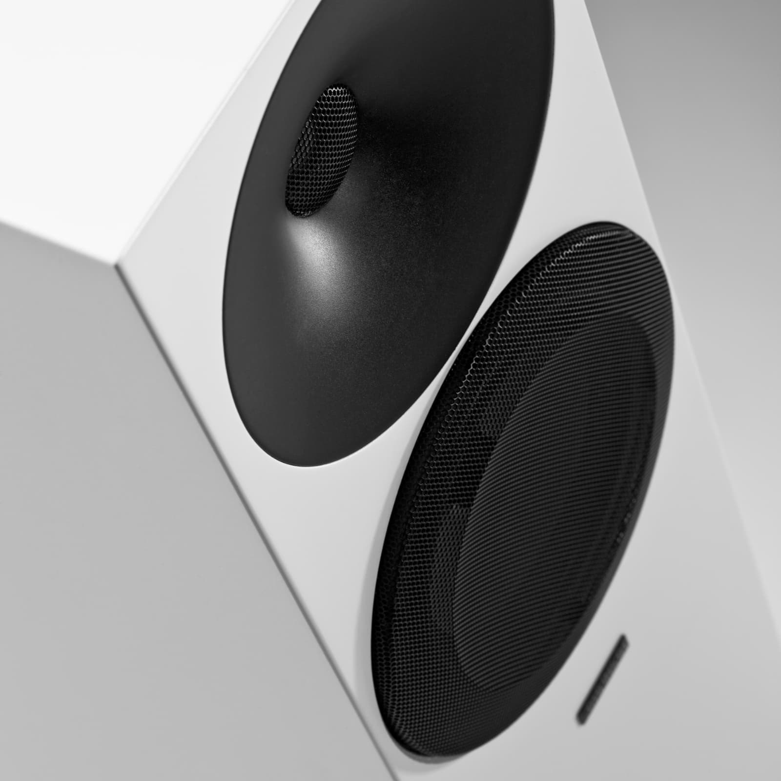 Amphion Argon3LX - Walnut