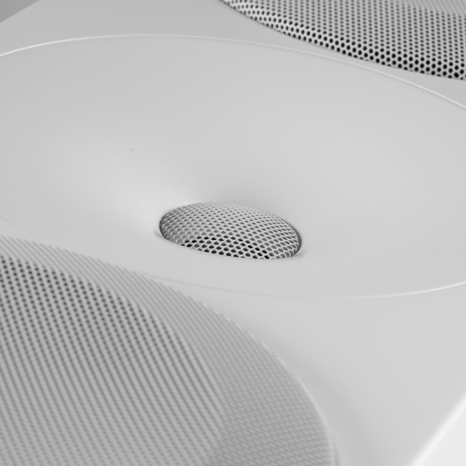 Amphion Argon7LX - Walnut