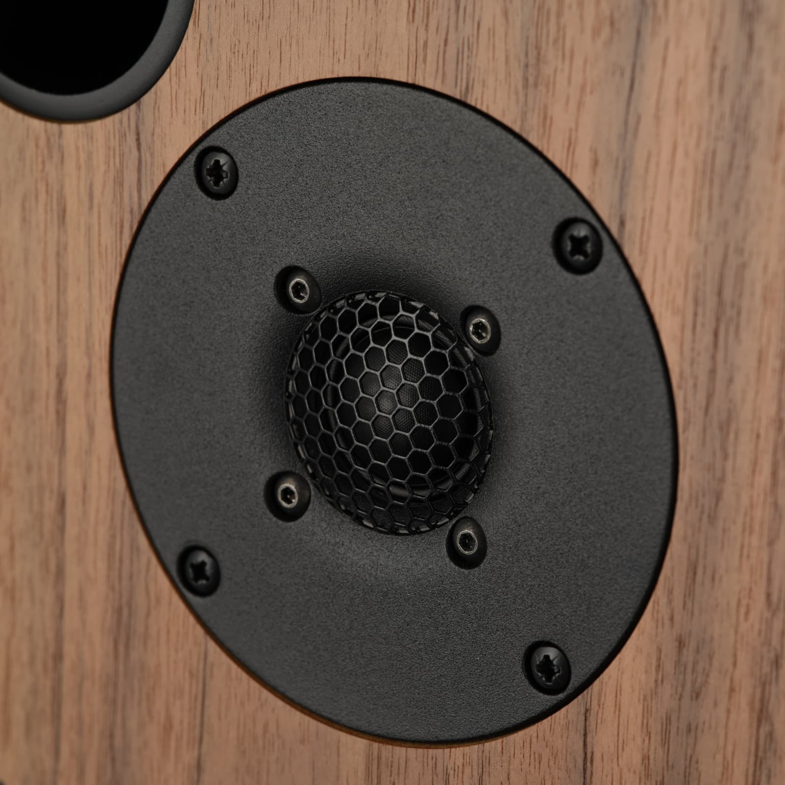 Harbeth M30.3 XD2 - Walnut